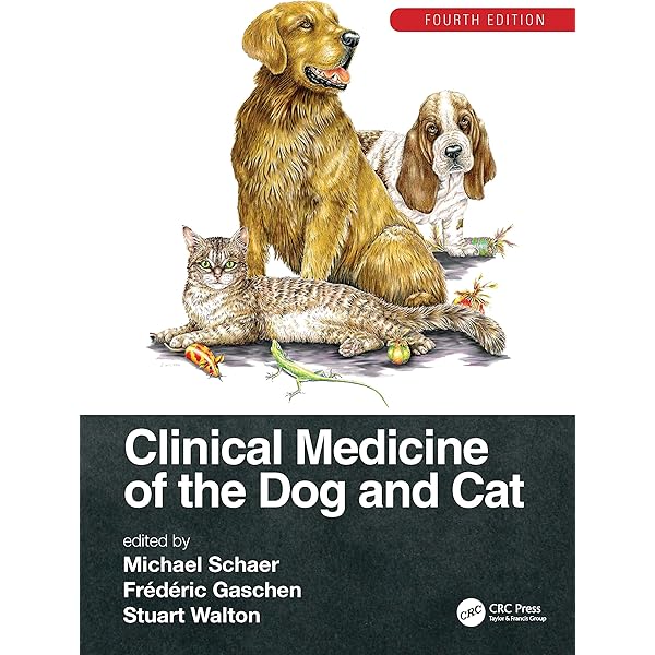 Canine and Feline Respiratory Medicine: Johnson, Lynelle R